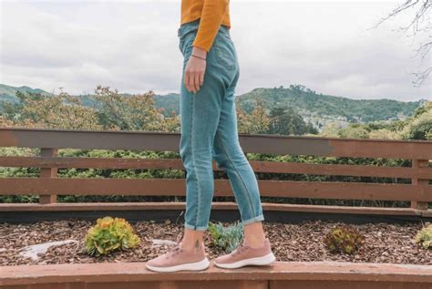 allbirds tree runners for women.